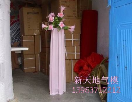 点击查看详细信息　标题：粉红色可升降路引 阅读次数：3170