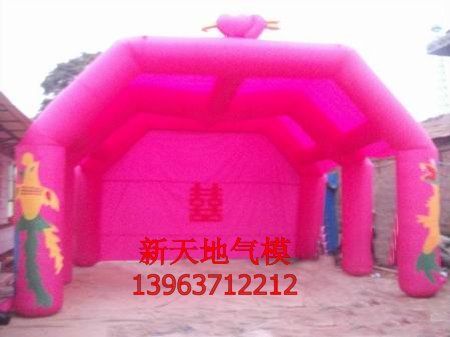 鿴ϸϢ⣺ϲ079 Ķ3337