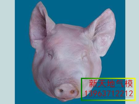 鿴ϸϢ⣺Ʒͷ Ķ1771